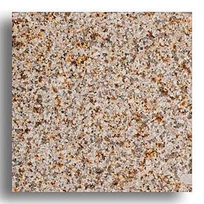 Countertop Color Sample